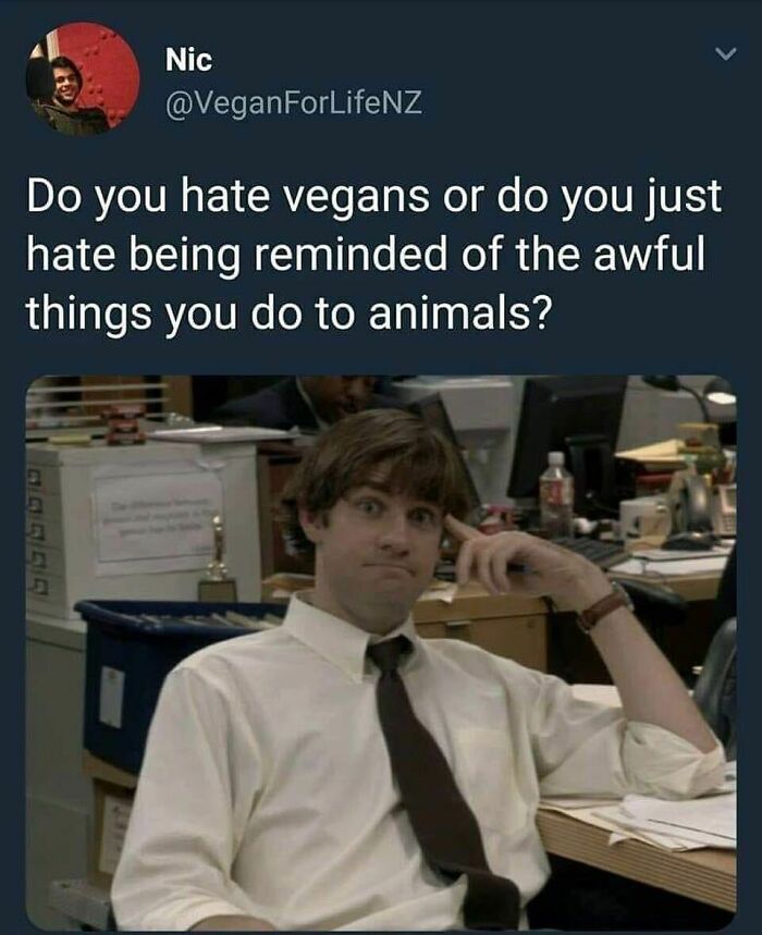 69 Vegan Memes That Are Surprisingly Hilarious