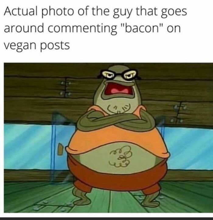 69 Vegan Memes That Are Surprisingly Hilarious