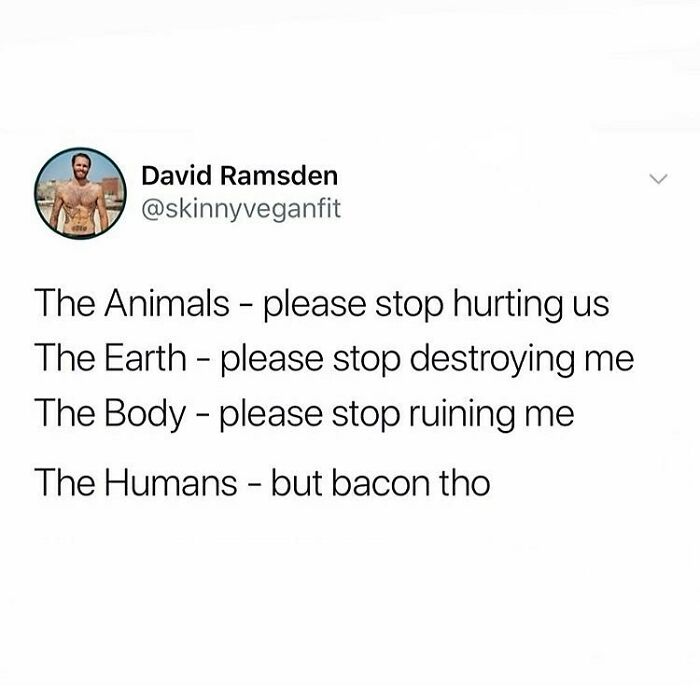 69 Vegan Memes That Are Surprisingly Hilarious