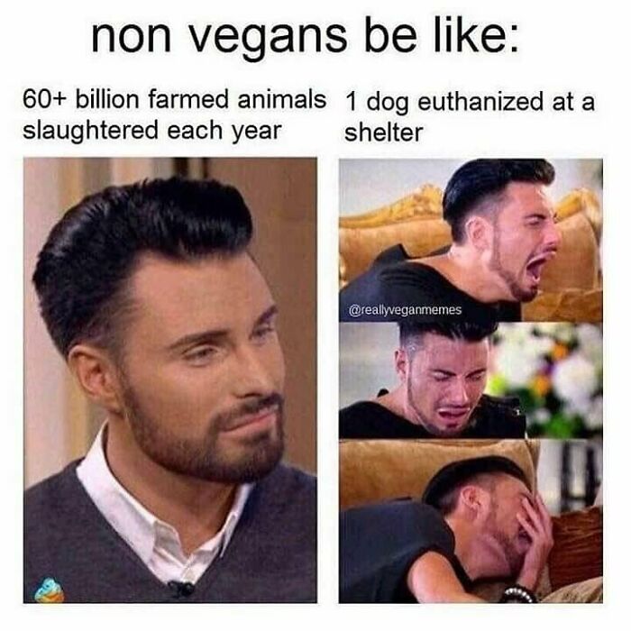 69 Vegan Memes That Are Surprisingly Hilarious