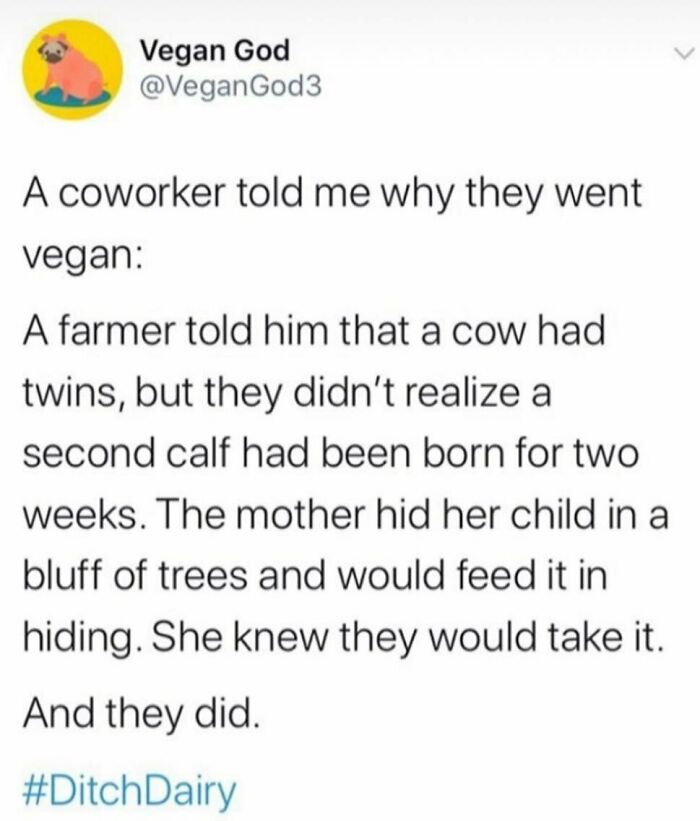 69 Vegan Memes That Are Surprisingly Hilarious
