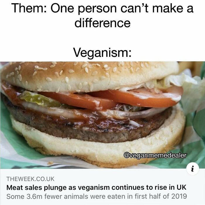 69 Vegan Memes That Are Surprisingly Hilarious
