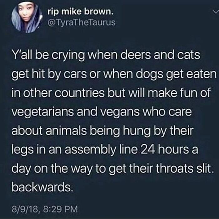 69 Vegan Memes That Are Surprisingly Hilarious