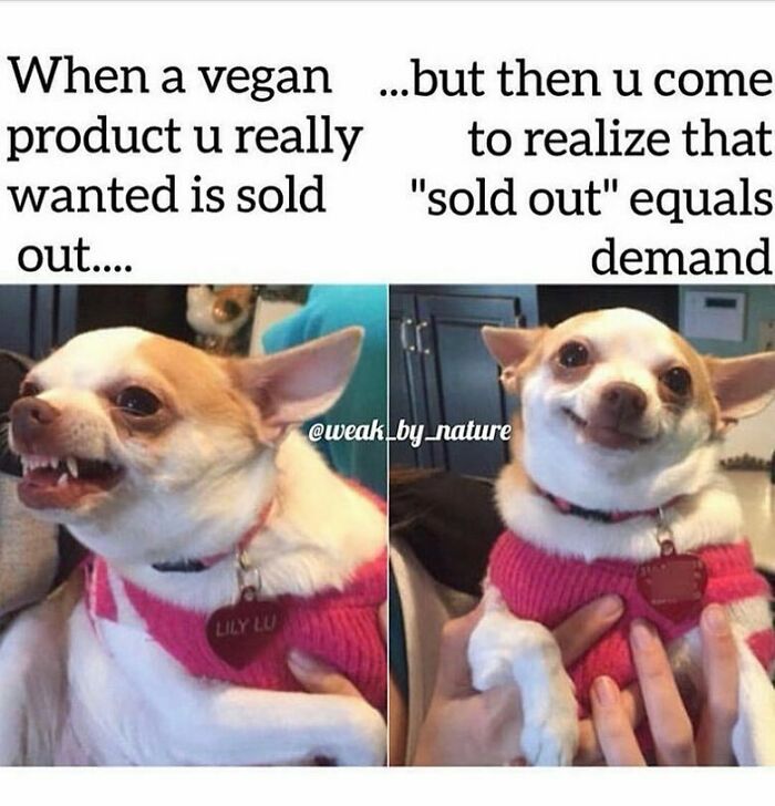 69 Vegan Memes That Are Surprisingly Hilarious