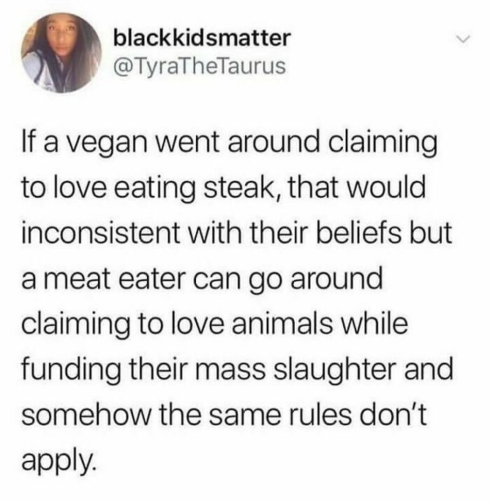 69 Vegan Memes That Are Surprisingly Hilarious