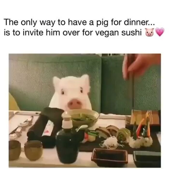 69 Vegan Memes That Are Surprisingly Hilarious