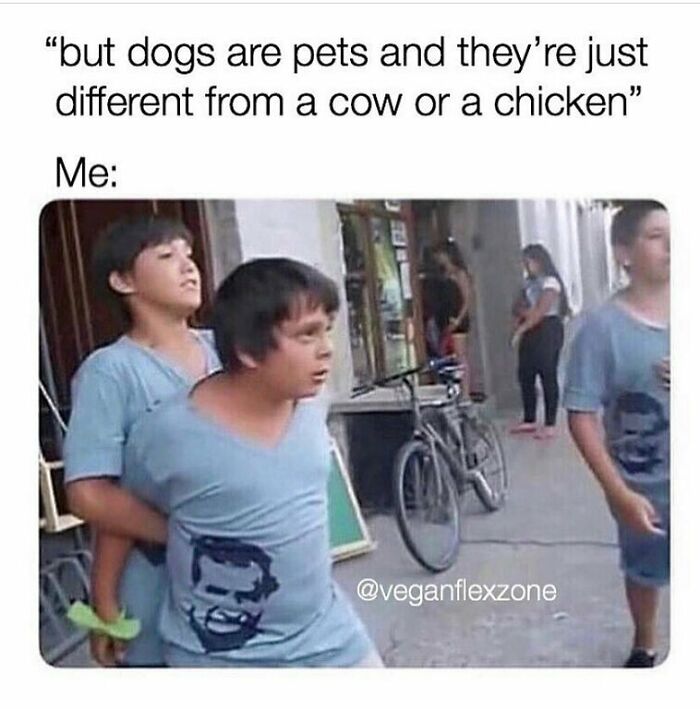 69 Vegan Memes That Are Surprisingly Hilarious