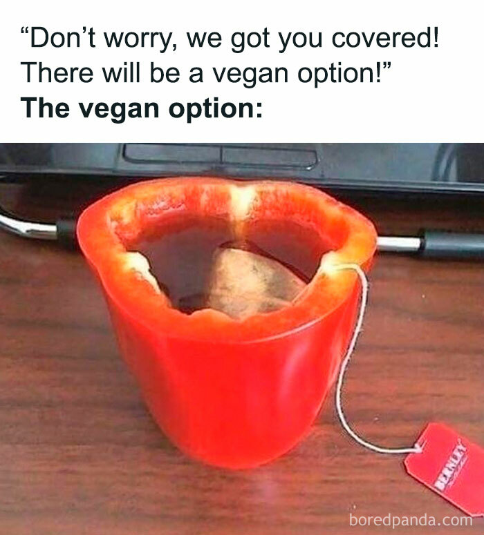 69 Vegan Memes That Are Surprisingly Hilarious