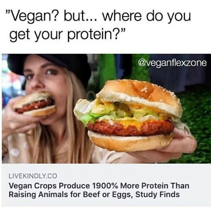 69 Vegan Memes That Are Surprisingly Hilarious