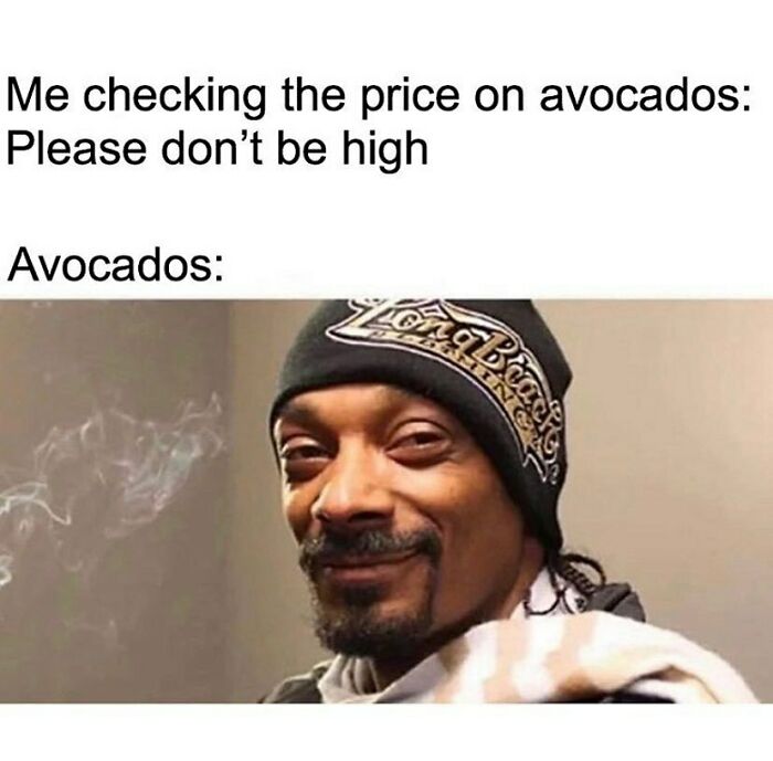 69 Vegan Memes That Are Surprisingly Hilarious