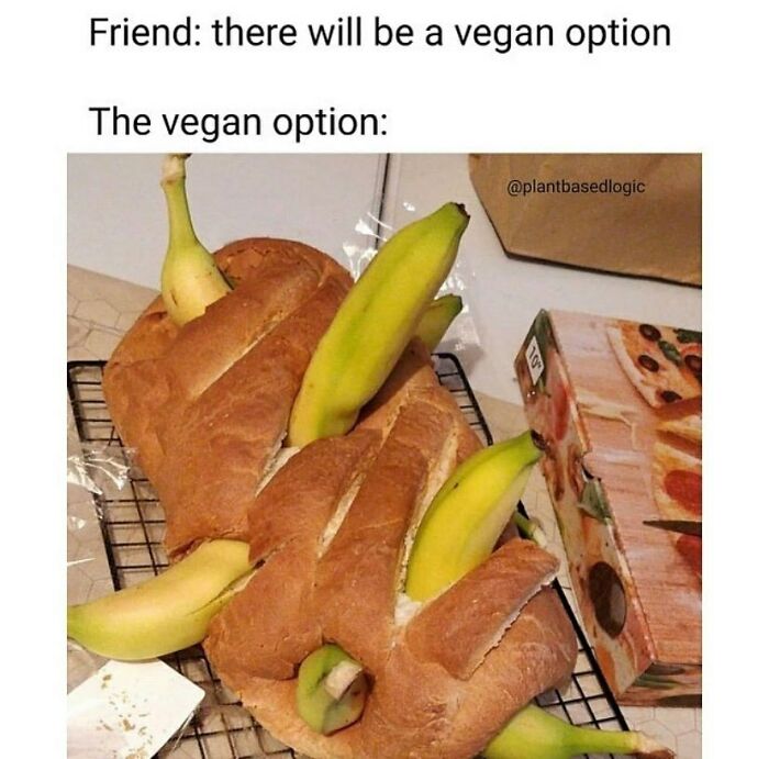 69 Vegan Memes That Are Surprisingly Hilarious