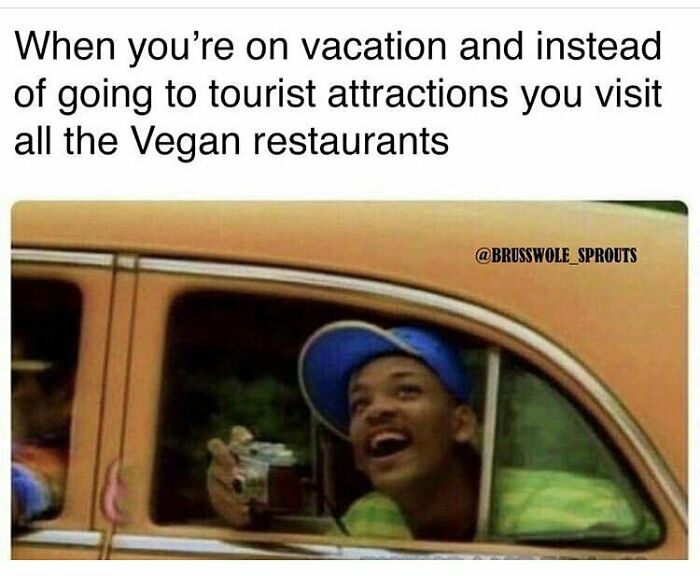 69 Vegan Memes That Are Surprisingly Hilarious