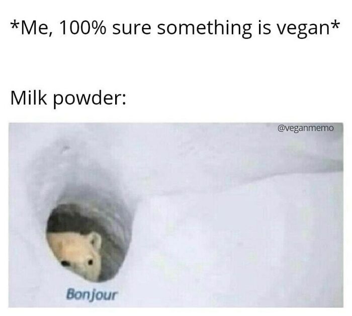 69 Vegan Memes That Are Surprisingly Hilarious
