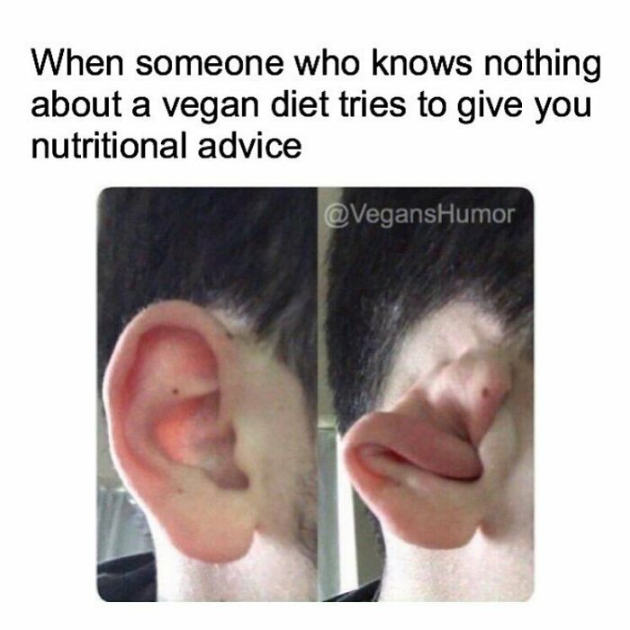 69 Vegan Memes That Are Surprisingly Hilarious