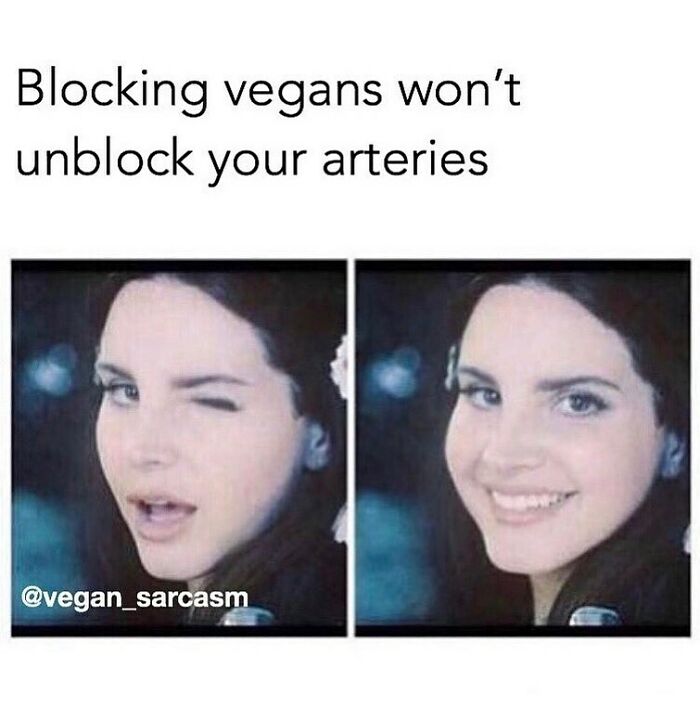 69 Vegan Memes That Are Surprisingly Hilarious