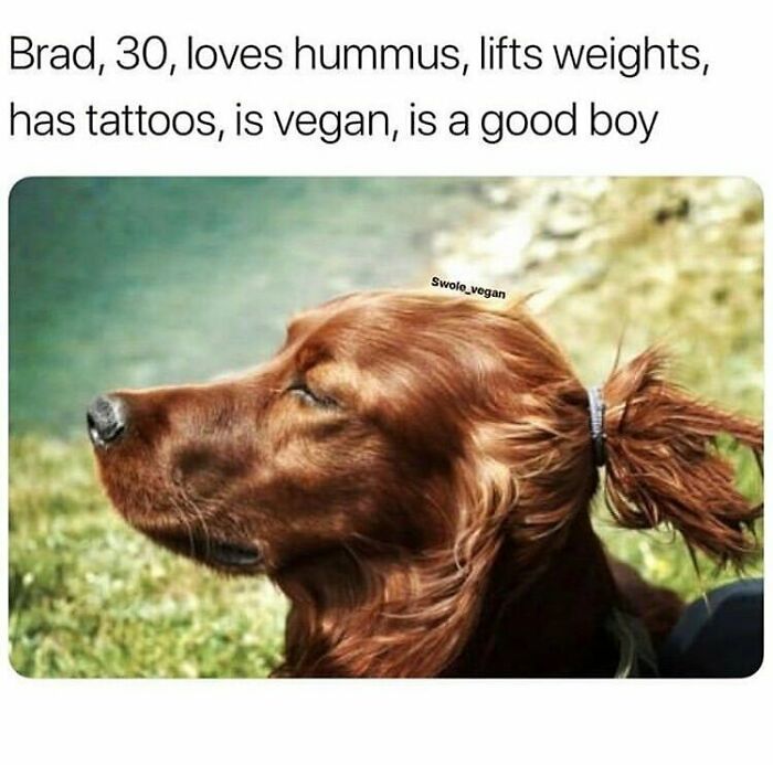 69 Vegan Memes That Are Surprisingly Hilarious