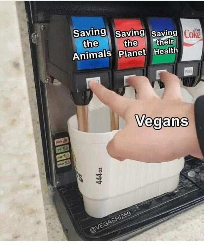 69 Vegan Memes That Are Surprisingly Hilarious
