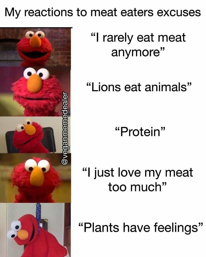 69 Vegan Memes That Are Surprisingly Hilarious