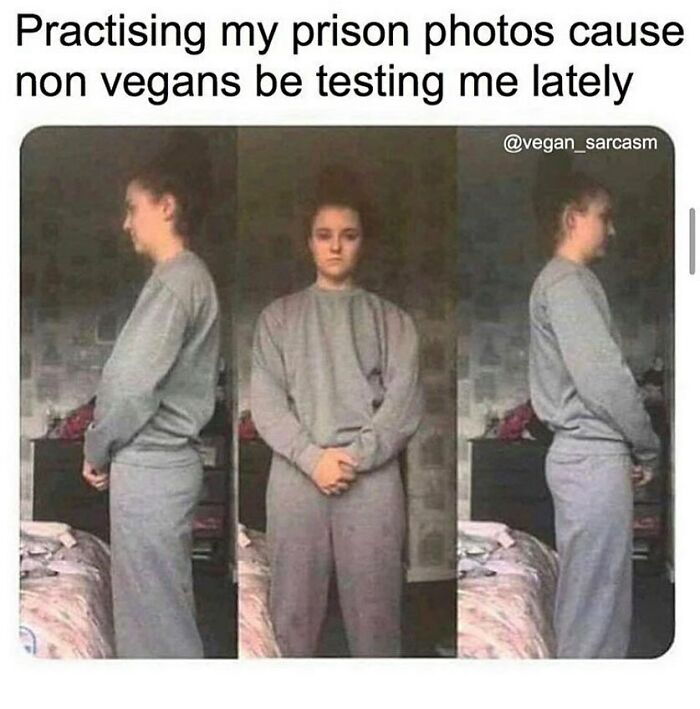 69 Vegan Memes That Are Surprisingly Hilarious