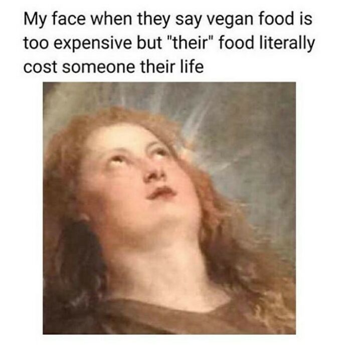 69 Vegan Memes That Are Surprisingly Hilarious