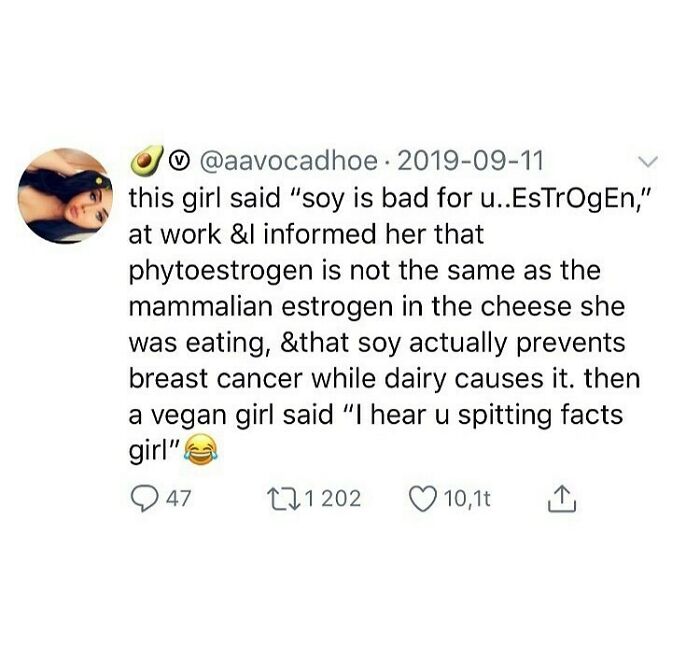 69 Vegan Memes That Are Surprisingly Hilarious