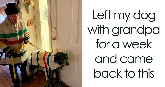 The 83 Most Heartwarming Posts That Will Totally Brighten Your Day