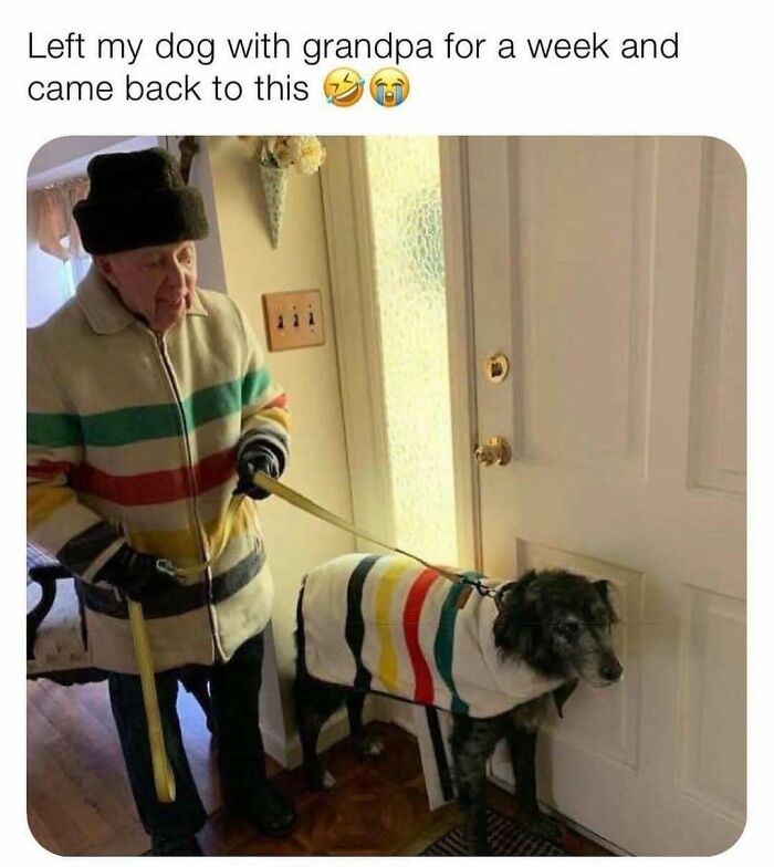 The 83 Most Heartwarming Posts That Will Totally Brighten Your Day
