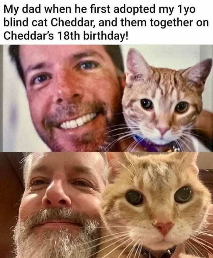 The 83 Most Heartwarming Posts That Will Totally Brighten Your Day