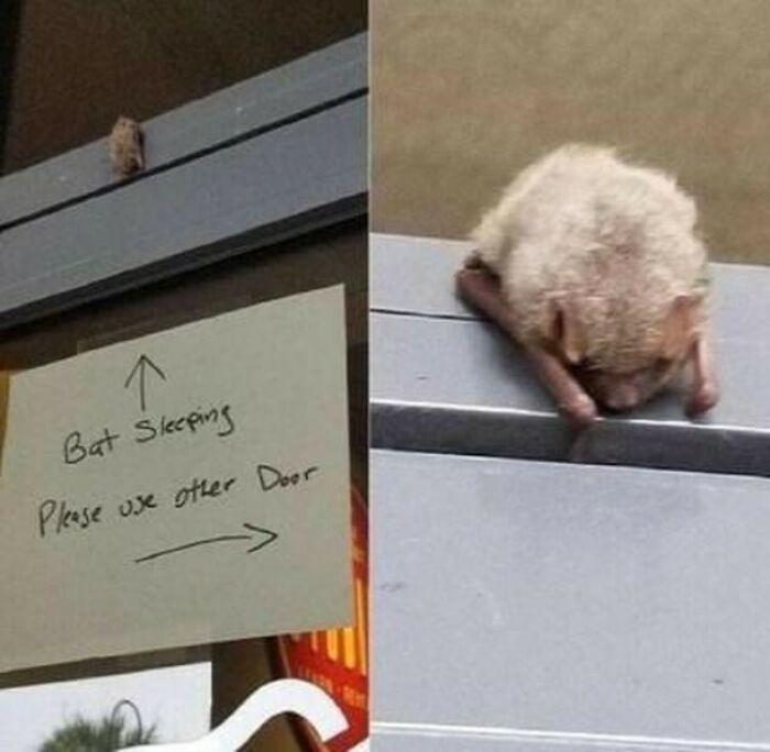 The 83 Most Heartwarming Posts That Will Totally Brighten Your Day