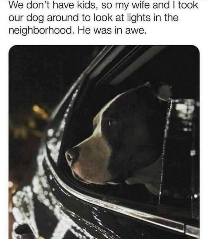 The 83 Most Heartwarming Posts That Will Totally Brighten Your Day