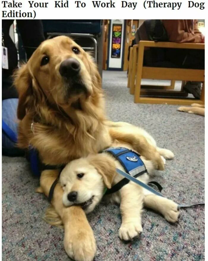 The 83 Most Heartwarming Posts That Will Totally Brighten Your Day