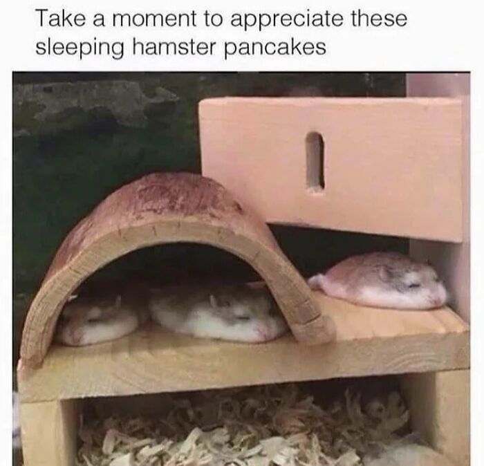 The 83 Most Heartwarming Posts That Will Totally Brighten Your Day