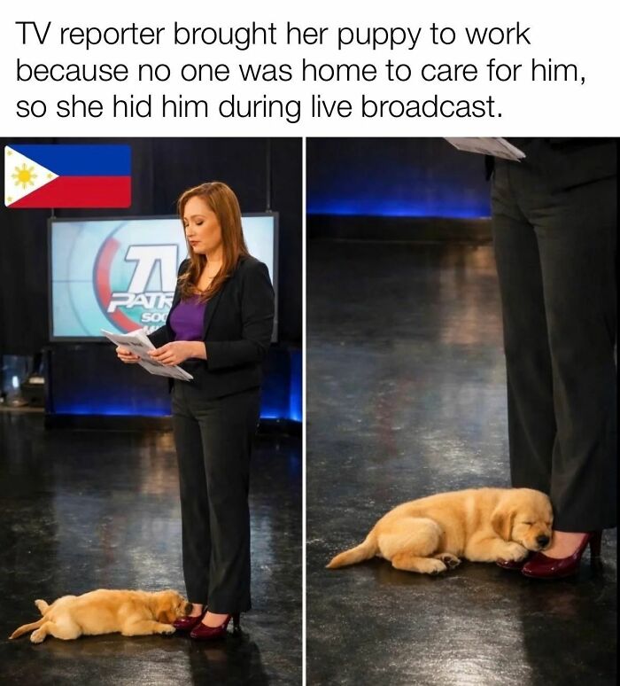 The 83 Most Heartwarming Posts That Will Totally Brighten Your Day