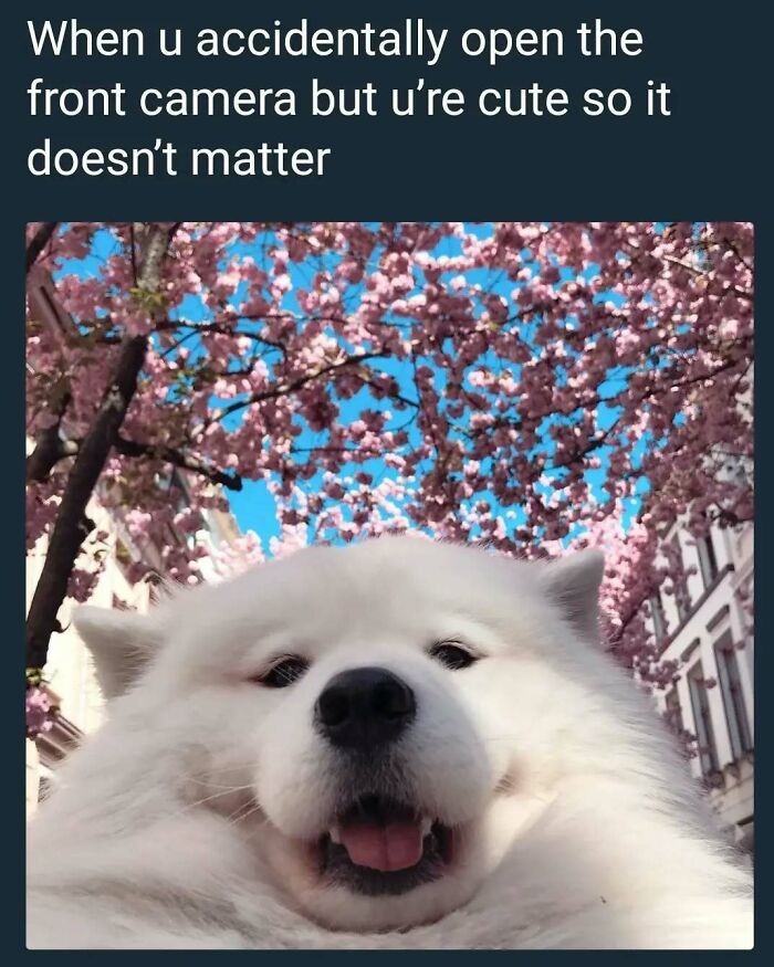 The 83 Most Heartwarming Posts That Will Totally Brighten Your Day