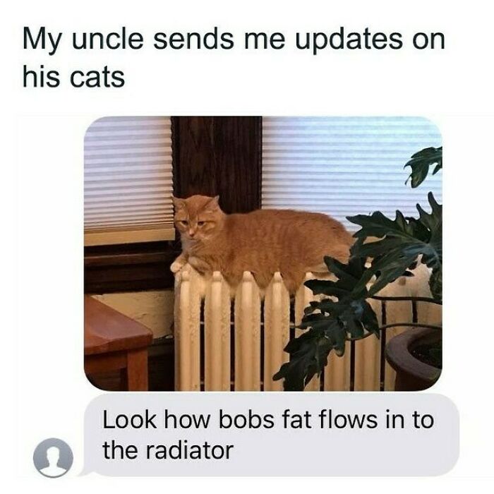 The 83 Most Heartwarming Posts That Will Totally Brighten Your Day