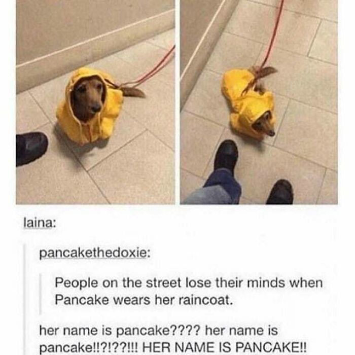 The 83 Most Heartwarming Posts That Will Totally Brighten Your Day