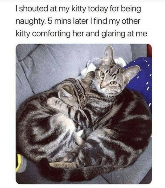 The 83 Most Heartwarming Posts That Will Totally Brighten Your Day