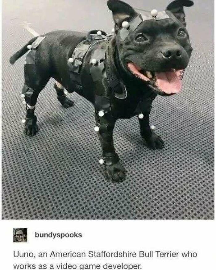 The 83 Most Heartwarming Posts That Will Totally Brighten Your Day