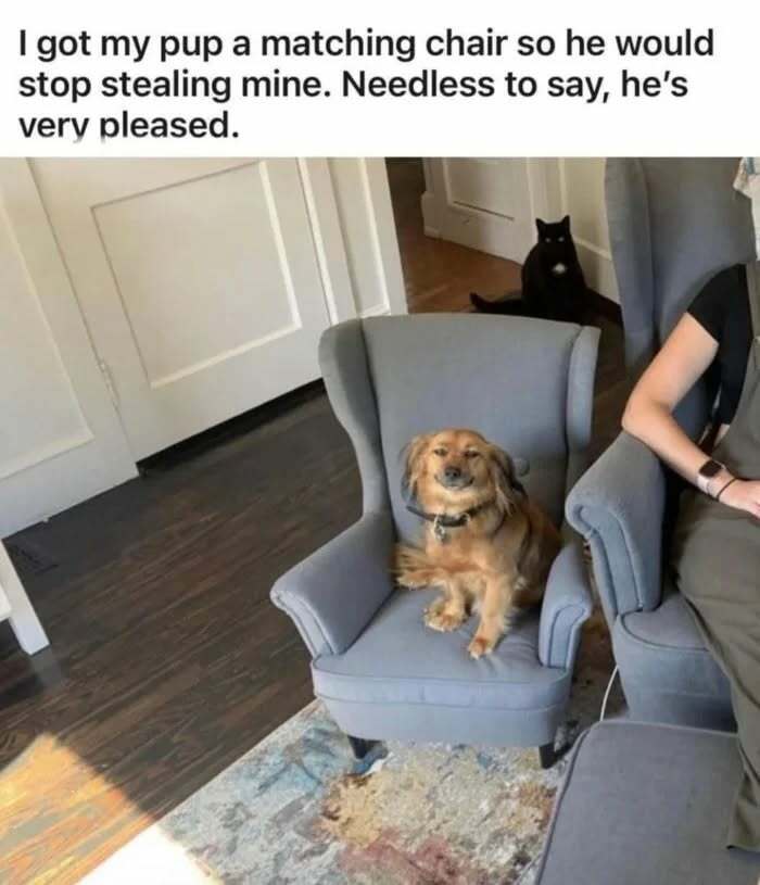 The 83 Most Heartwarming Posts That Will Totally Brighten Your Day