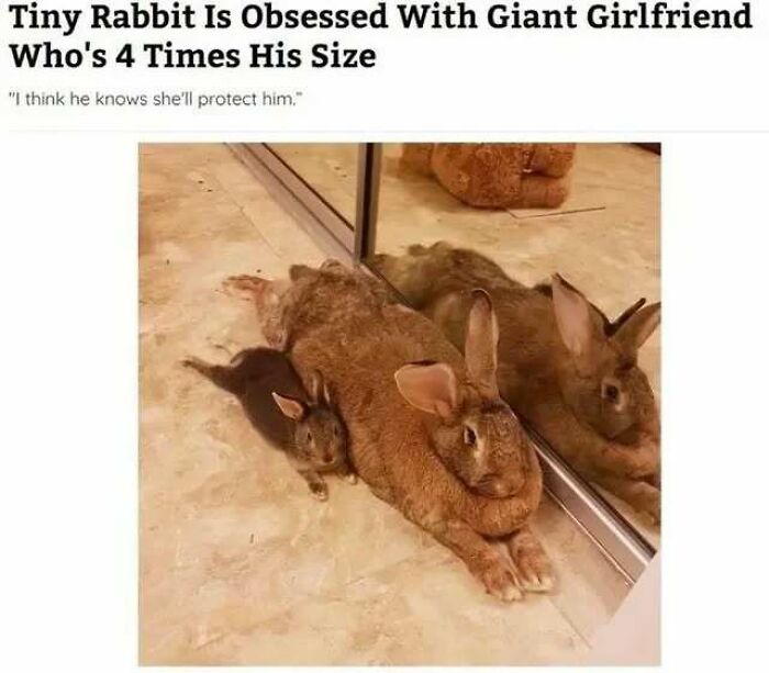 The 83 Most Heartwarming Posts That Will Totally Brighten Your Day