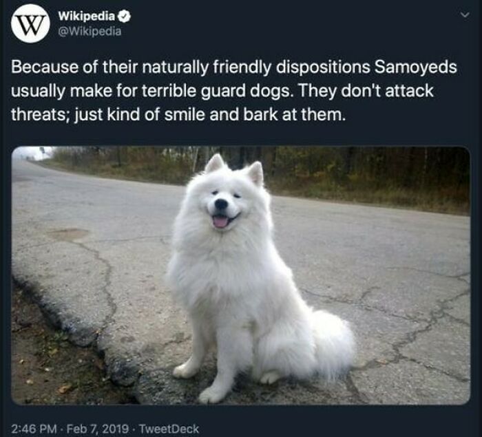 The 83 Most Heartwarming Posts That Will Totally Brighten Your Day