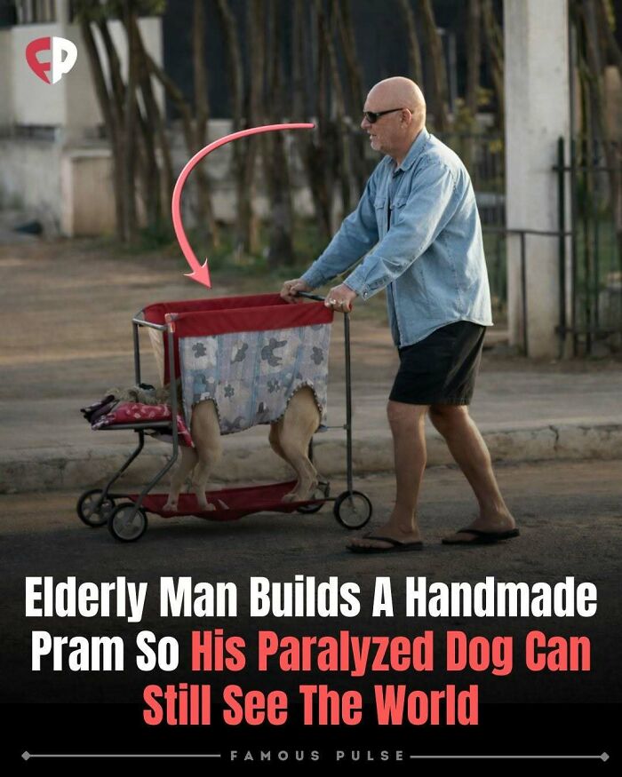 43 Wildly Awesome Facts & Stories That’ll Blow Your Mind