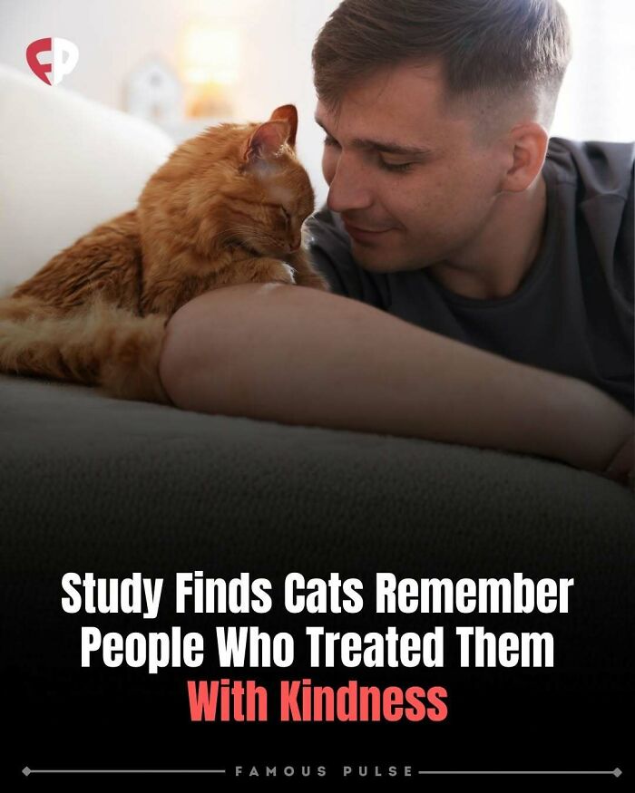 43 Wildly Awesome Facts & Stories That’ll Blow Your Mind