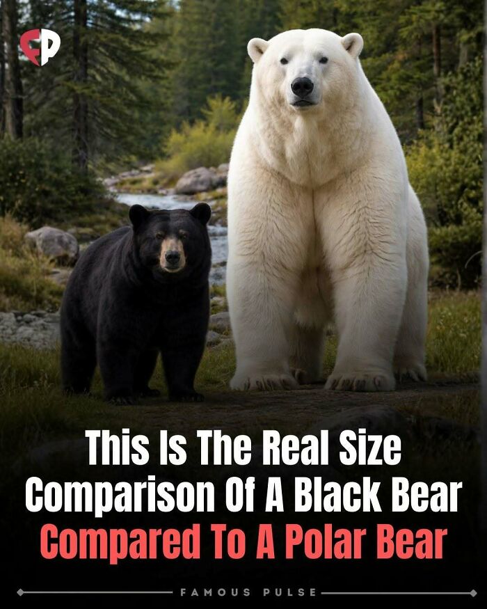 43 Wildly Awesome Facts & Stories That’ll Blow Your Mind