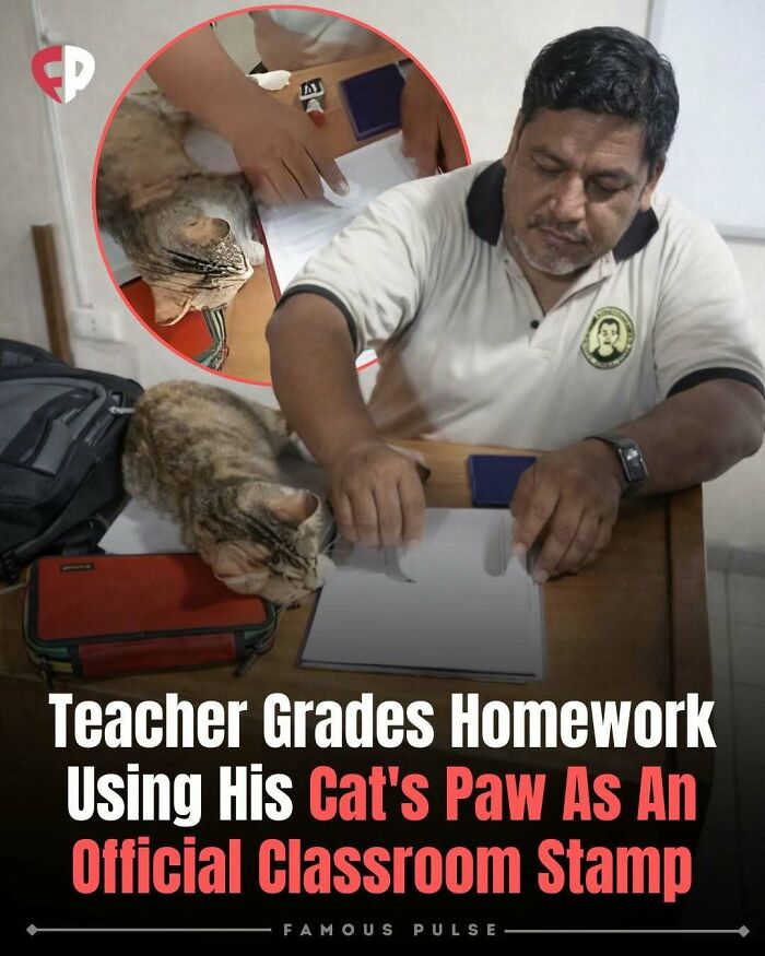 43 Wildly Awesome Facts & Stories That’ll Blow Your Mind