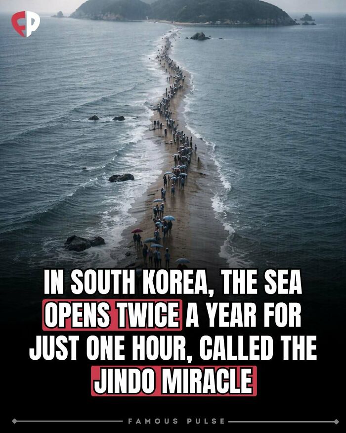 43 Wildly Awesome Facts & Stories That’ll Blow Your Mind