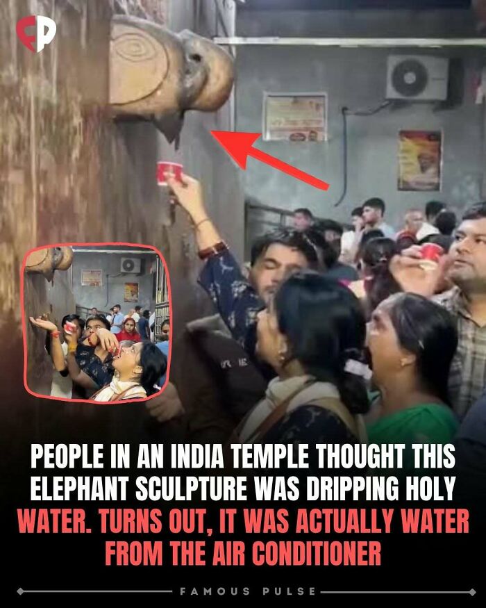 43 Wildly Awesome Facts & Stories That’ll Blow Your Mind