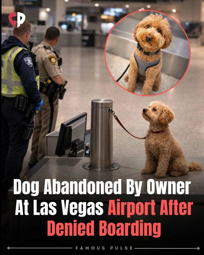 43 Wildly Awesome Facts & Stories That’ll Blow Your Mind
