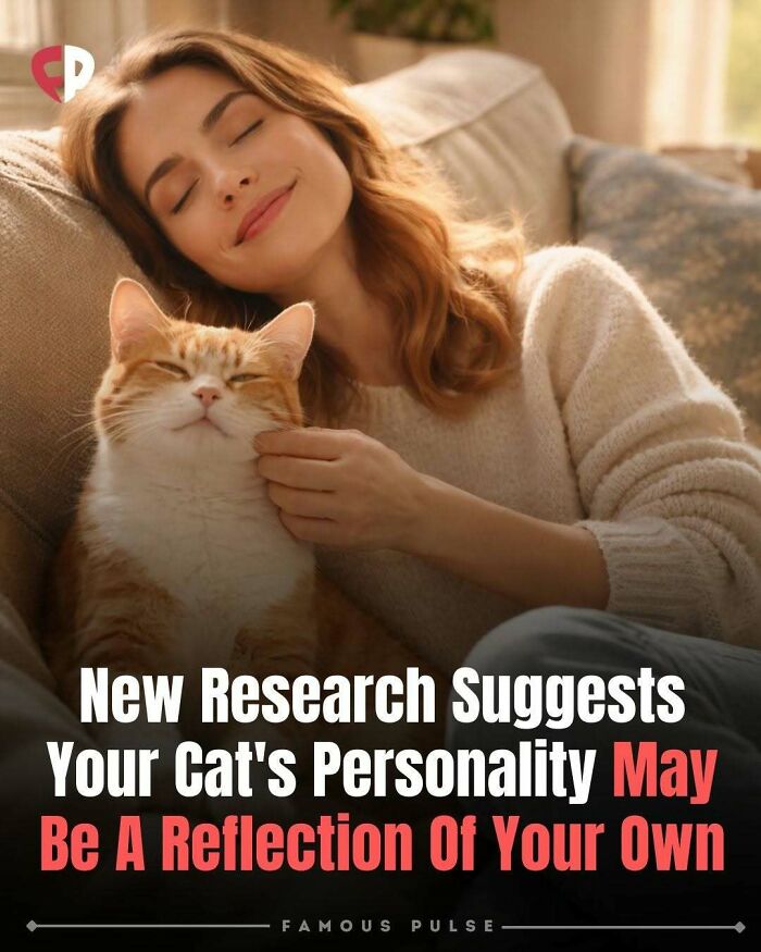 43 Wildly Awesome Facts & Stories That’ll Blow Your Mind