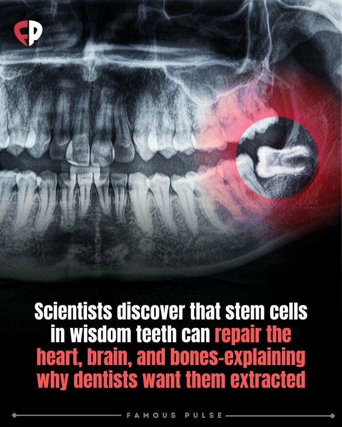 43 Wildly Awesome Facts & Stories That’ll Blow Your Mind